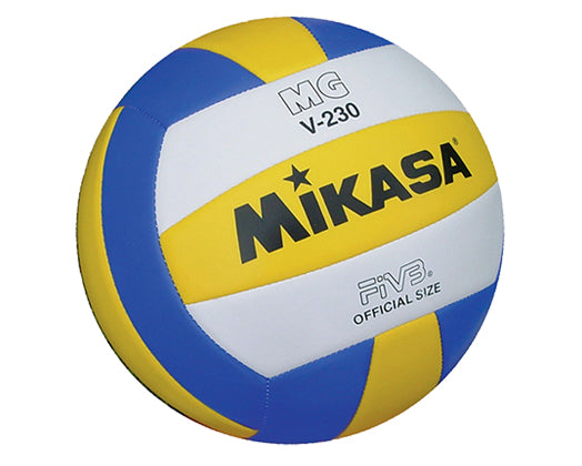 Volleyball Rental